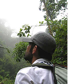 With a experimented bird watching guide you have a better chance of spotting a Quetzal