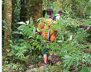 Hiking the Quetzal's Trail, a gorgeous hike in the Chiriquí's cloud forest
